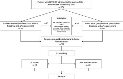 Risk Factors for Pulmonary Air Leak and Clinical Prognosis in Patients With COVID-19 Related Acute Respiratory Failure: A Retrospective Matched Control Study